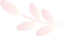 中國(guó)美容博覽會(huì)